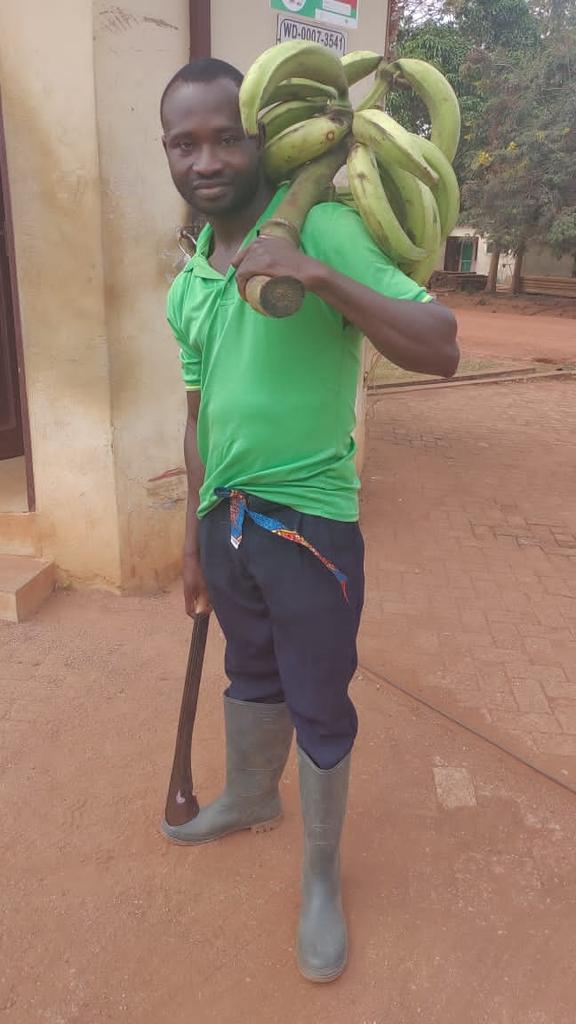 analimbeychris's tweet image. #CocoaFarmer diaries
#FarmersDay
Happy Farmers Day