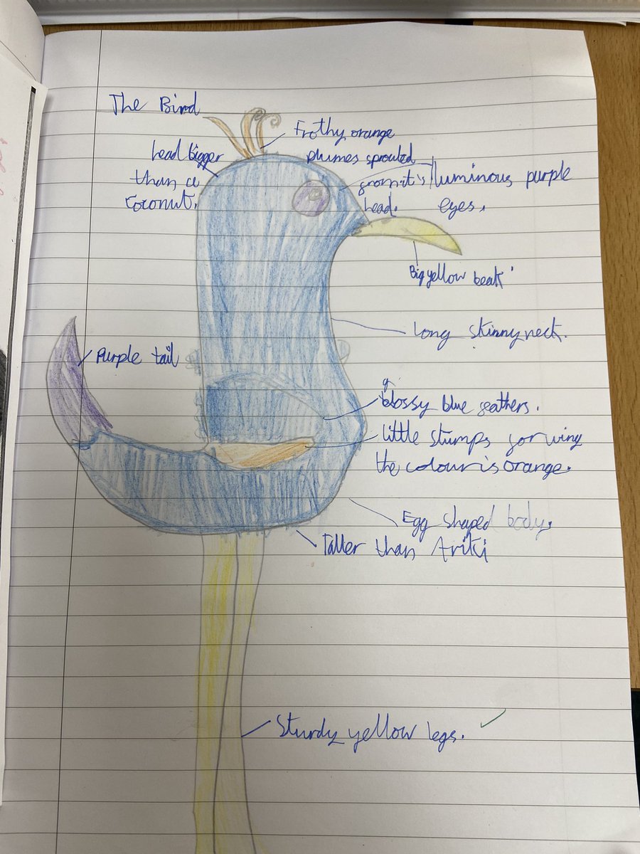 StBernardsep's tweet photo. Team 4 were set the task of pulling descriptive details from their text to draw what the bird would look like. #ariki #stbreading @TheLCUK https://t.co/11GEwbRhwb