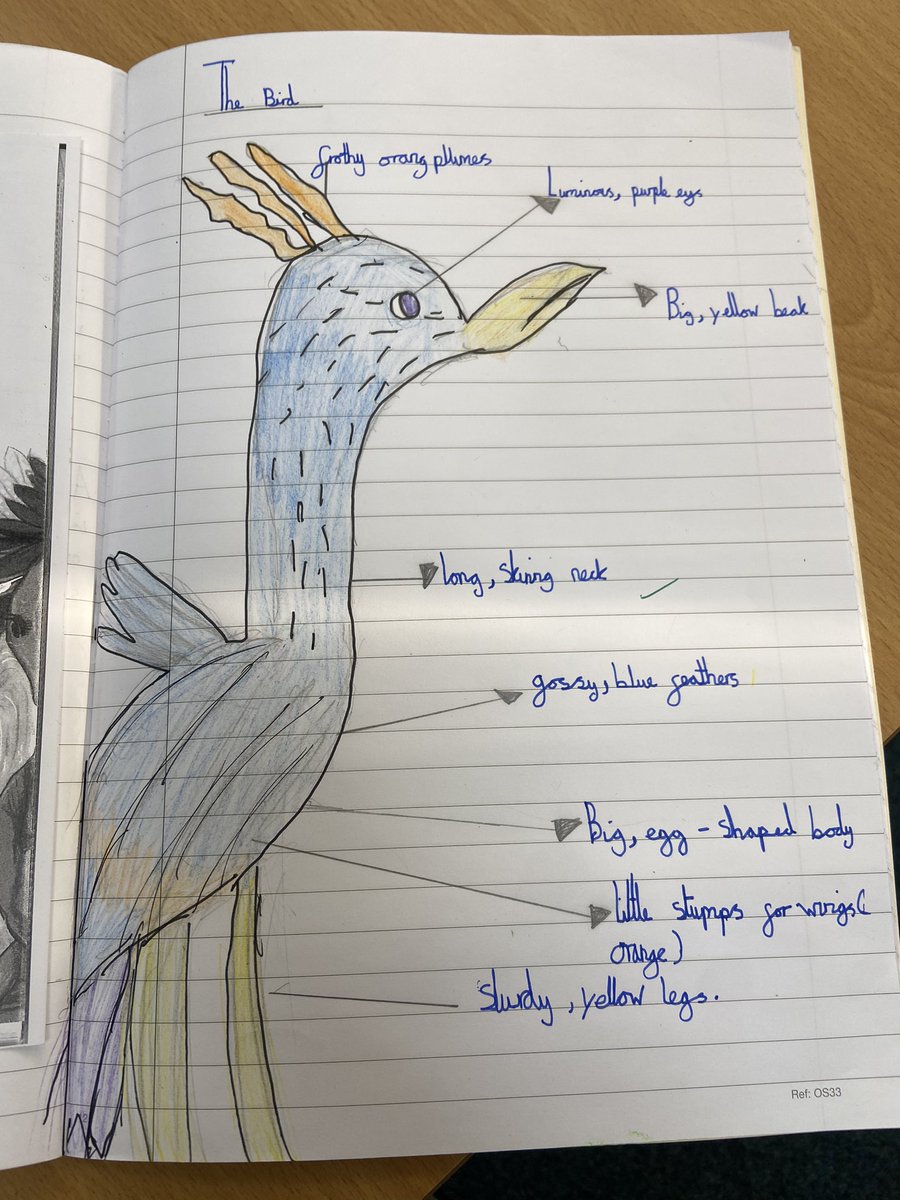 StBernardsep's tweet photo. Team 4 were set the task of pulling descriptive details from their text to draw what the bird would look like. #ariki #stbreading @TheLCUK https://t.co/11GEwbRhwb