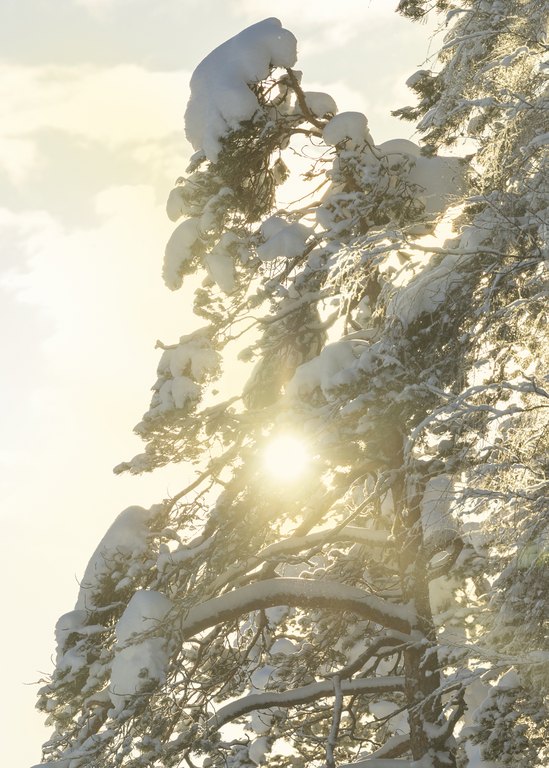 Kuopionkaupunki's tweet photo. "Living Lab –palvelun kautta meillä on aiempaa paremmat mahdollisuudet löytää yrityksiä tekemään tutkimuksellista yhteistyötä kanssamme", kertoo Itä-Suomen yliopiston tutkimusjohtaja Tomi Mäki-Opas.
https://t.co/nynvPmZg9H
#Kuopio #KuopioLivingLab https://t.co/JFPh5jypHn