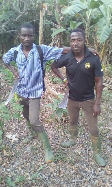 analimbeychris's tweet image. #CocoaFarmer diaries
#FarmersDay
Happy Farmers Day