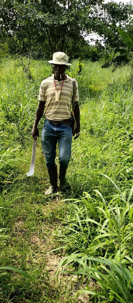 analimbeychris's tweet image. #CocoaFarmer diaries
#FarmersDay
Happy Farmers Day