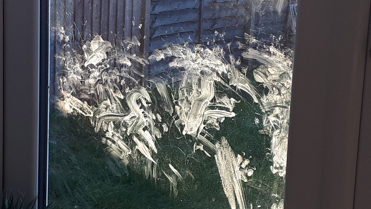 Dog art on my patio door
