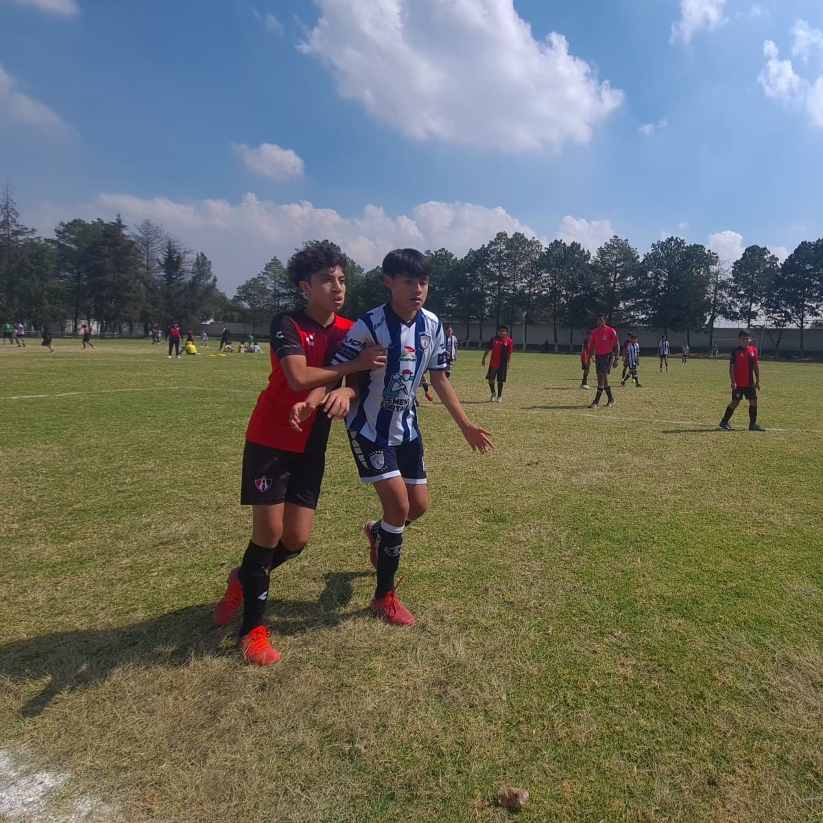 futsat's tweet photo. 🦊 vs 🐿 Menores #SemilleroFutsat #LMFB https://t.co/nlupoWV5nb