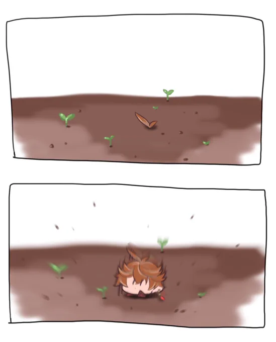 葉っぱ 