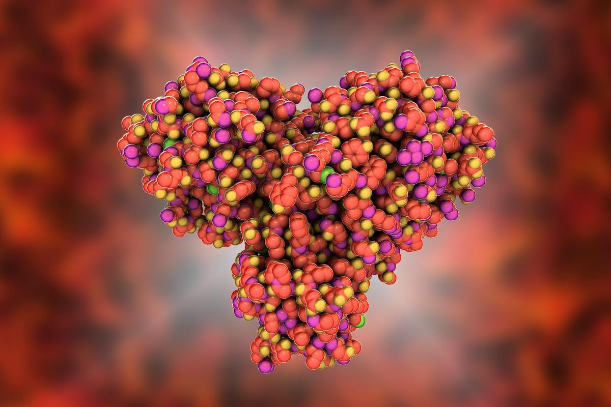 NewsMedical's tweet photo. Study suggests efficacy of SARS-CoV-2 main protease inhibitors is not compromised in current COVID-19 variants https://t.co/jpriHEcSIQ @biorxivpreprint @ANUmedia #SARSCoV2 #protease #mainprotease #inhibitor #COVID19 #covid #coronavirus #covidvariant #variantofconcern https://t.co/oOxBQ315l9
