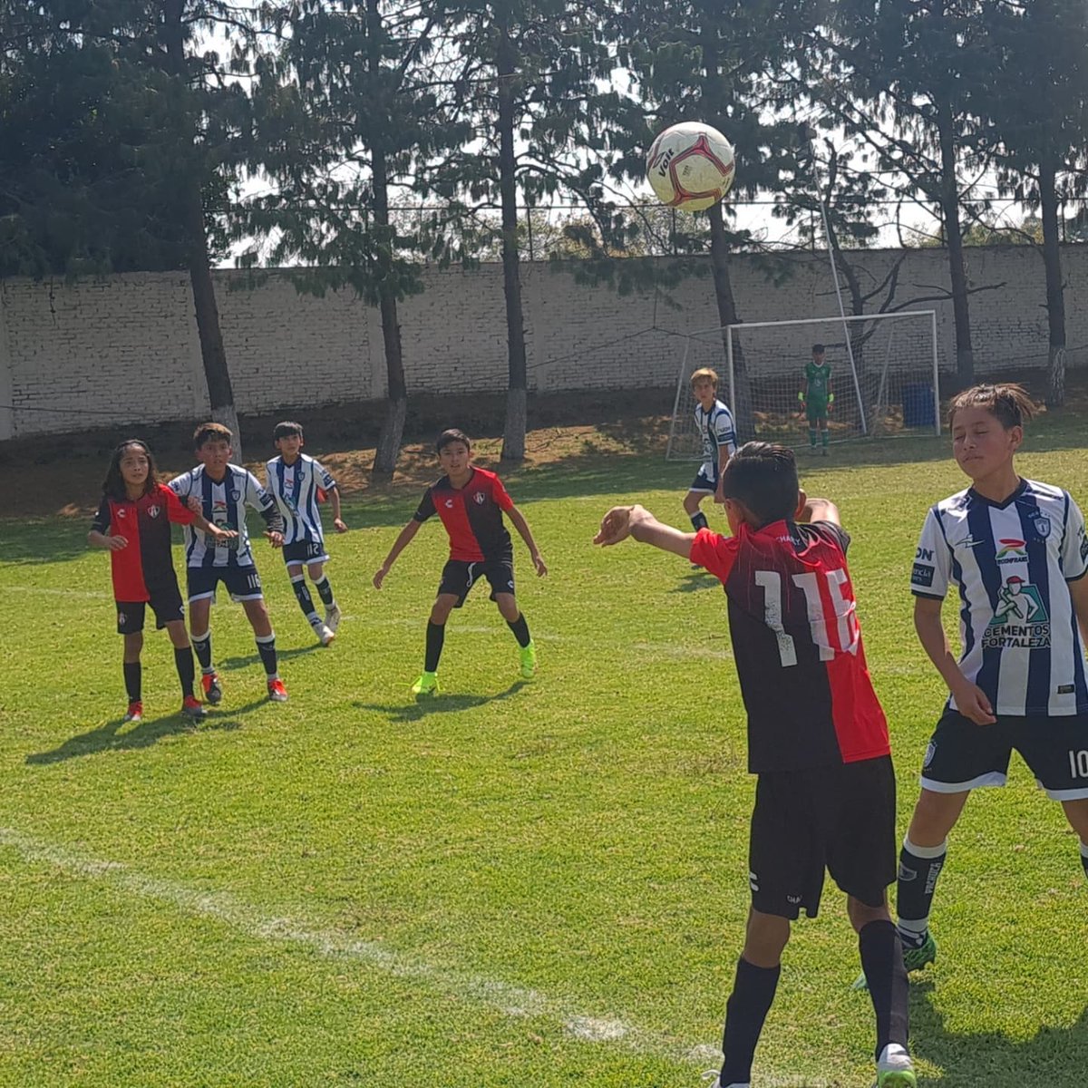 futsat's tweet photo. 🦊 vs 🐿 Menores #SemilleroFutsat #LMFB https://t.co/nlupoWV5nb