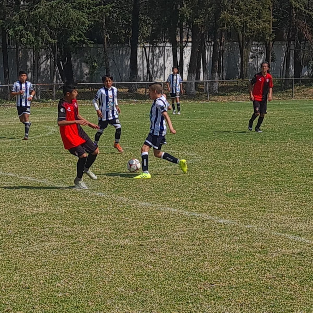 futsat's tweet photo. 🦊 vs 🐿 Menores #SemilleroFutsat #LMFB https://t.co/nlupoWV5nb