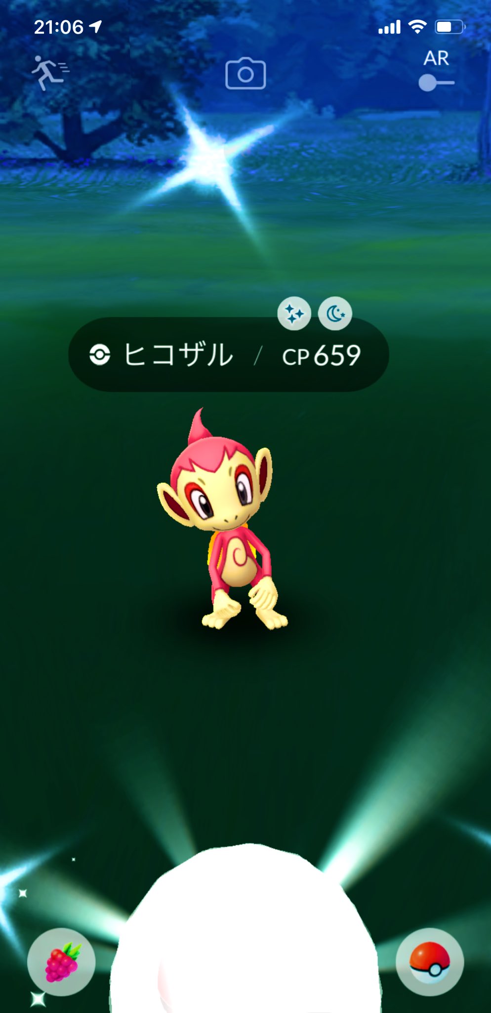 ヒコザル色違い Twitter Search Twitter