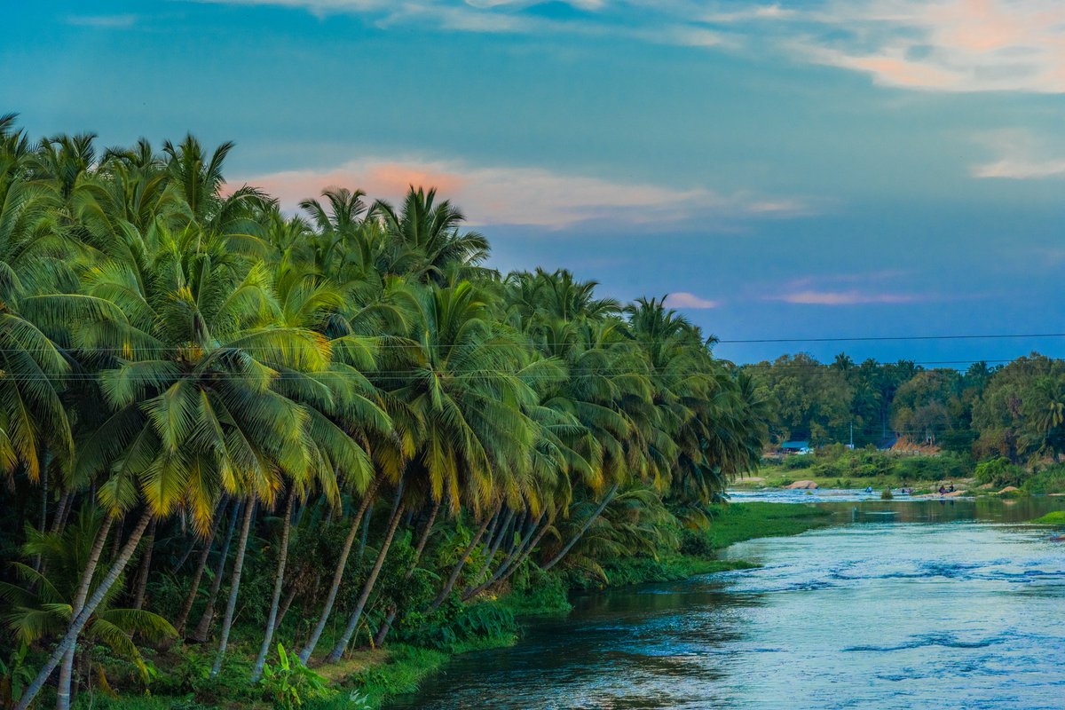 Machi, Pollachi polama? 🌴

#Pollachi, also known as the #Coconut City, where you may discover and experience nature's potted paradise!

#TamilNaduTourism #TamilNadu