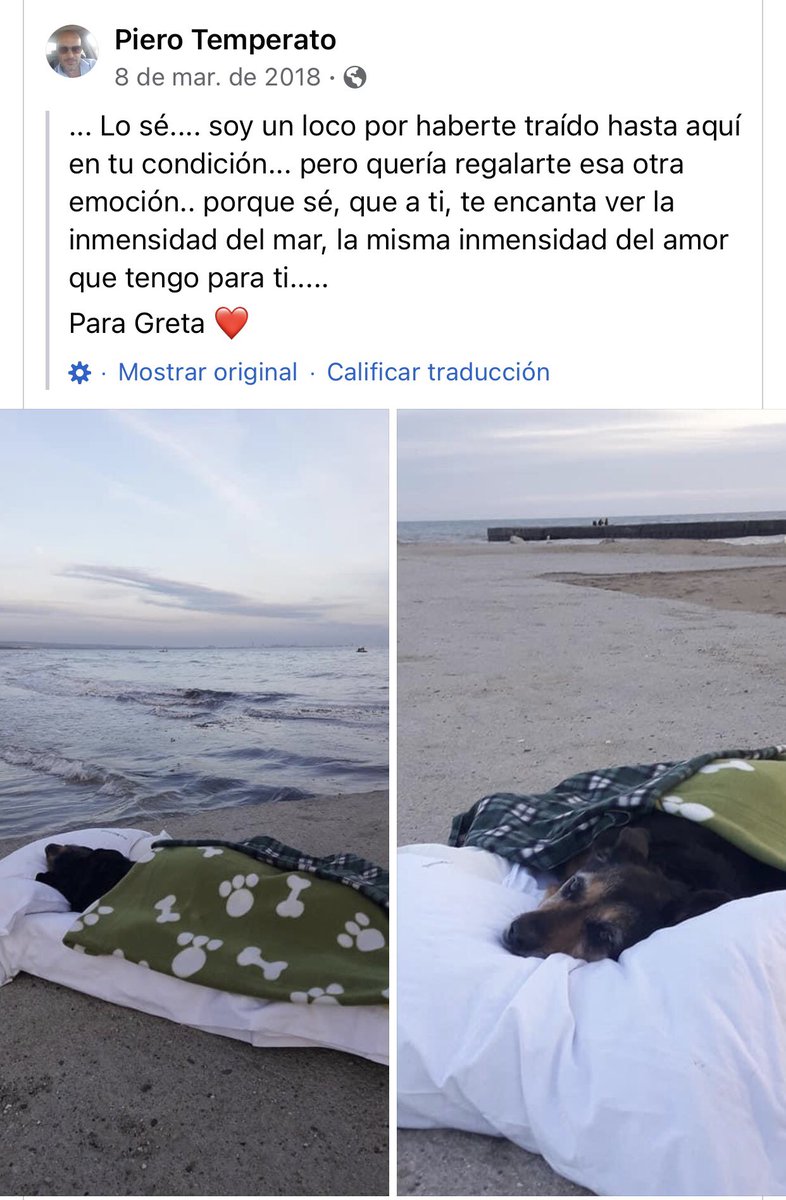 soffialtamirand's tweet photo. Estoy llorando muchísimo https://t.co/t45vqa6TLS
