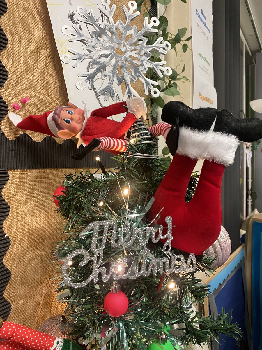 xMissWilliamson's tweet photo. Introducing… Jingle! 🌲 (yesterday!) https://t.co/Td8JXhHaQW