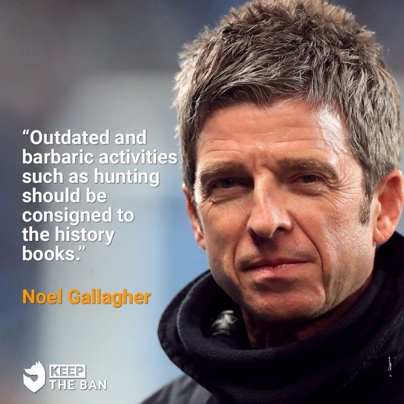 ProtectTheWild_'s tweet photo. We couldn't agree more with @NoelGallagher https://t.co/MyHr8EVQs8