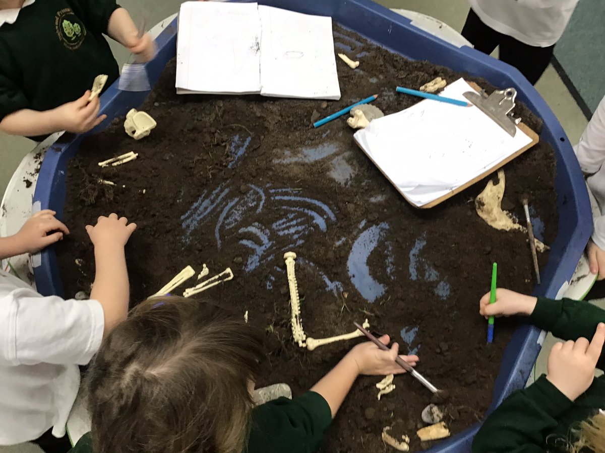 HighwoodPrimF2H's tweet photo. How do we know that dinosaurs lived on earth? Fossils!!! 🦴🌍🦖 https://t.co/SHDzNwEo7D