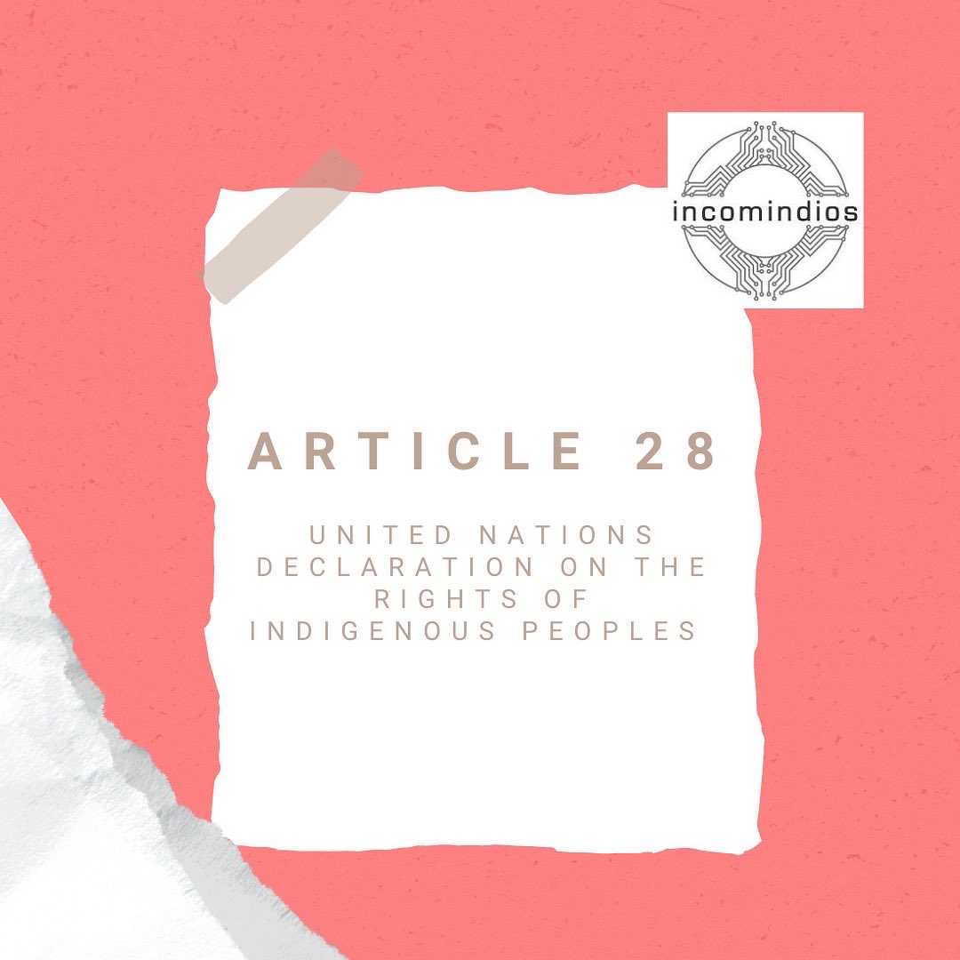 IncomindiosUK's tweet photo. UNDRIP: Article 28.
#UNDRIP #UnitedNations #Indigenous #IncomindiosUK https://t.co/fUjkuIssal