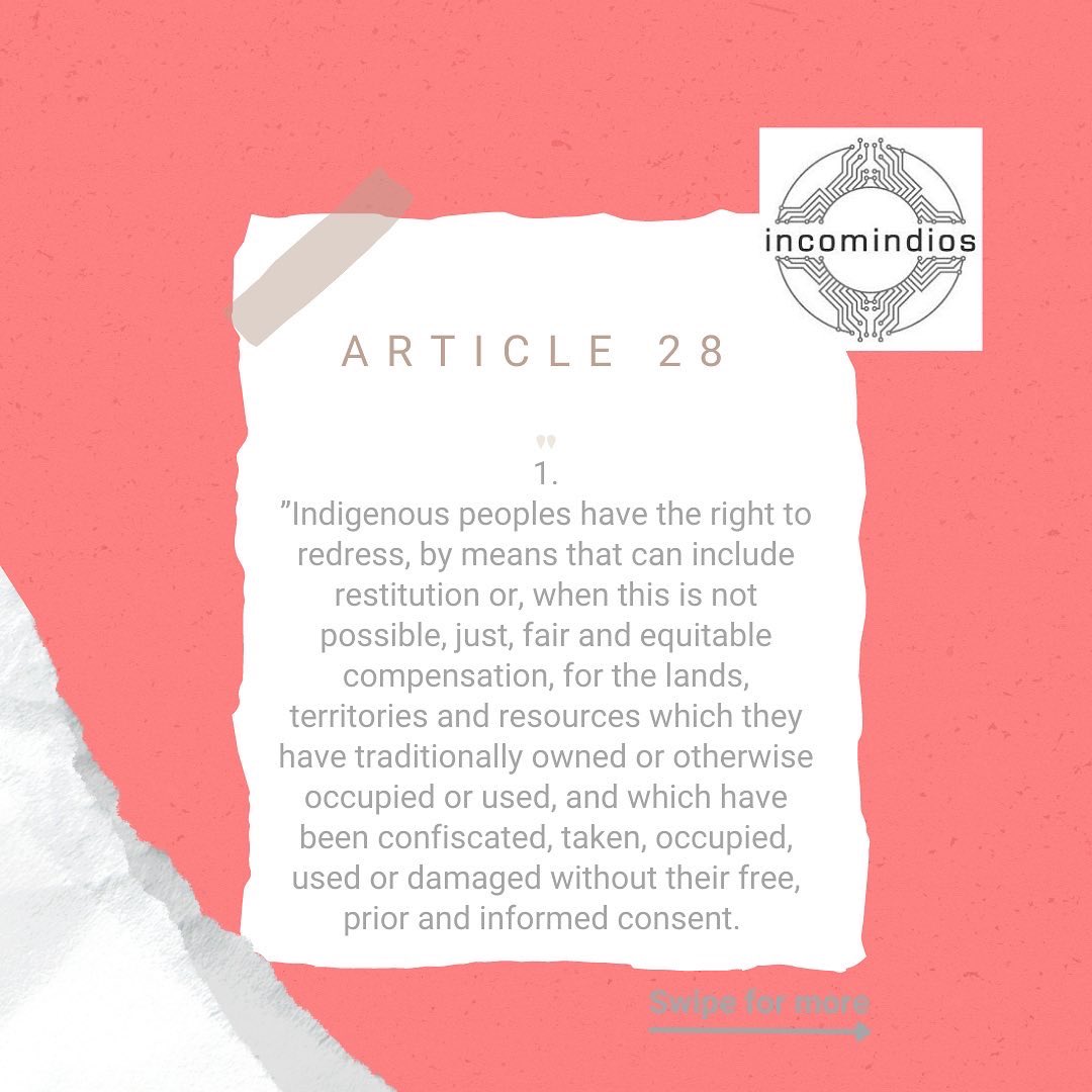IncomindiosUK's tweet photo. UNDRIP: Article 28.
#UNDRIP #UnitedNations #Indigenous #IncomindiosUK https://t.co/fUjkuIssal