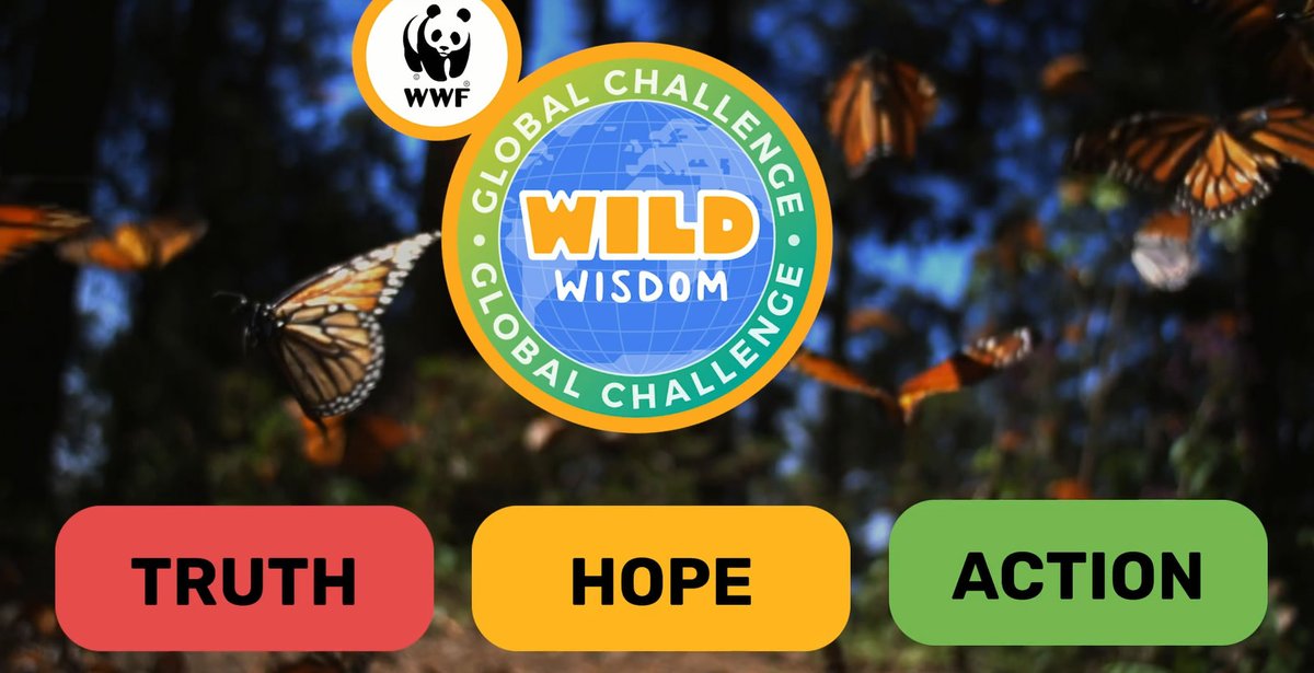 Live final starts in less than 2 hours!  Finalists: get ready and join at  14:00GMT ow.ly/sfXs50H1N2m. Supporters: watch at ow.ly/9iLy50H1N2l #wildwisdom21