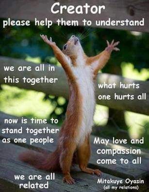 AmericanIndian8's tweet photo. #INDIGENOUS #TAIRP https://t.co/Q80HGD90JV