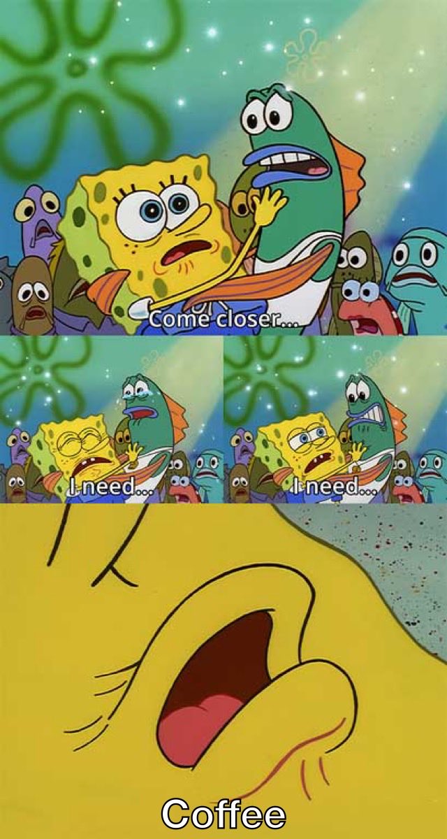 Big Cat (@barstoolbigcat) on Twitter photo 