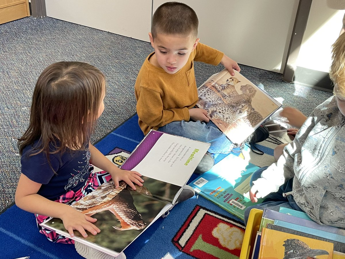 librarydiehl's tweet photo. This almost the loudest part of my day. Pre-K students get so excited about books, especially if they have shark, spider and snake pictures. 
#elementarylibrary #whocancubscan @CreightonCISD https://t.co/pxFEc2BGli