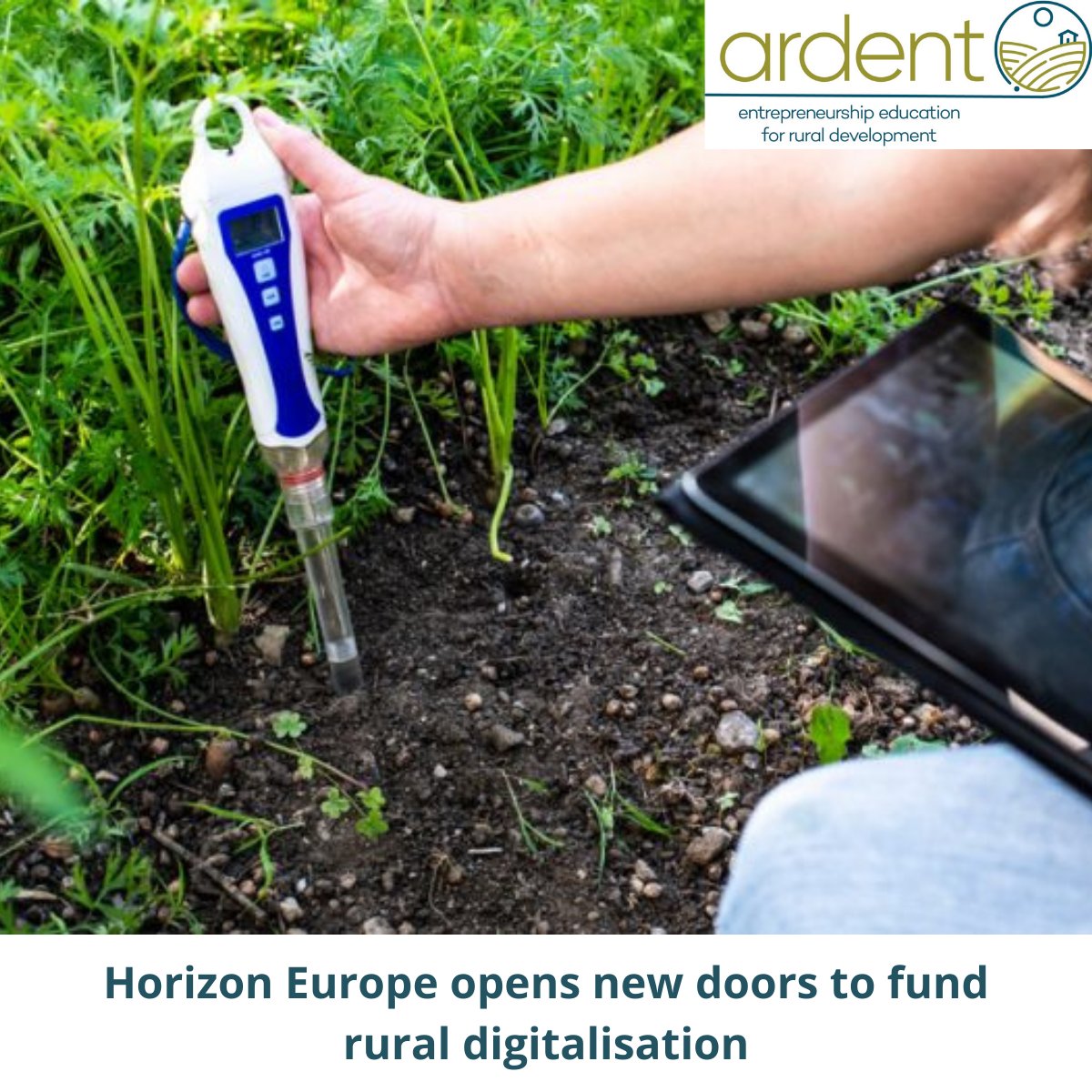 ARDENT_project's tweet photo. Horizon Europe, opens new ways to reinforce rural digitalisation and technologies in agri-food business through international projects and additional funding.

Read more here: https://t.co/V3yh1EgnG0
#ARDENT #RuralEntrepreneurship #RuralDevelopment #RuralDigitalisation #EITfood https://t.co/cBFATQAjLC