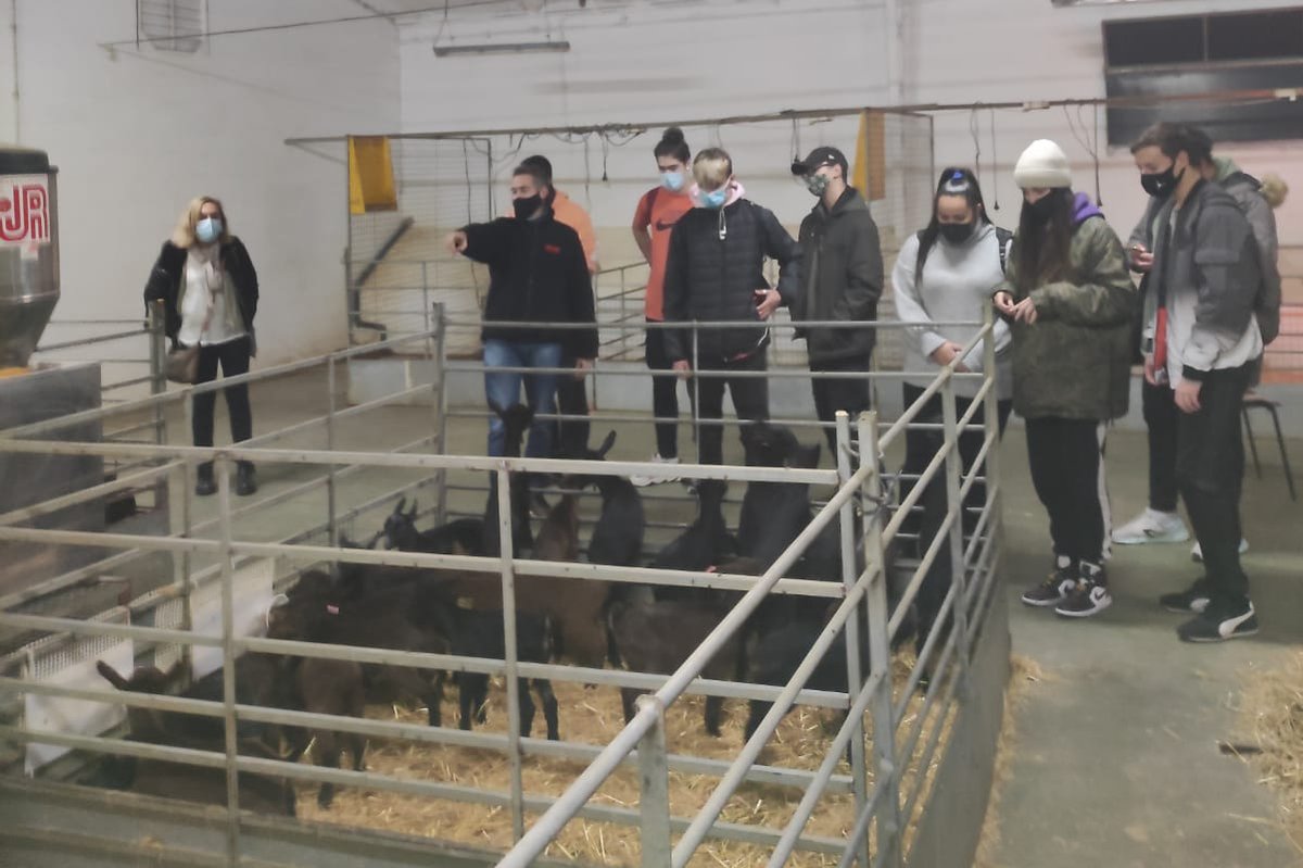 TrsOcupacio's tweet photo. Visita formativa a les instal·lacions de la granja de l'empresa MIM, on s'aplica la tecnologia d'indústria 4.0 a la ramaderia per l'elaboració de productes tradicionals com el mató, recuit i el formatge fresc. https://t.co/BgErVnf86F