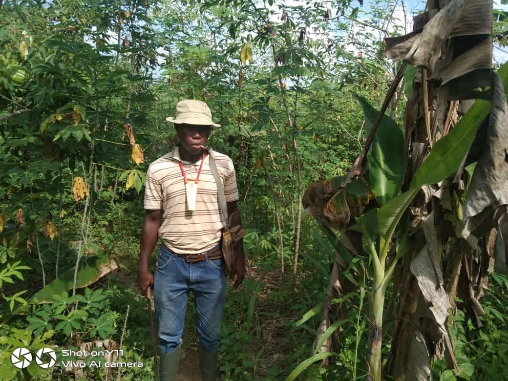 analimbeychris's tweet image. #CocoaFarmer
#HappyFarmersDay

Every retweet and like is equal to a bar of Chocolate. Oh yes!!!!