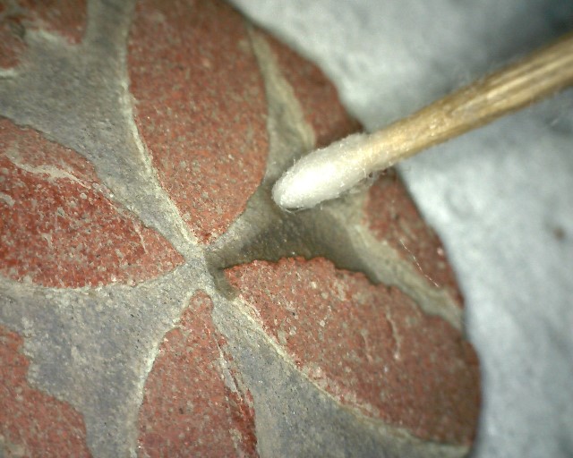 aocarchaeology's tweet photo. Day 7 of #AOCAdCal: another of the harness pendants 🐴 that our conservators have prepared for display in Perth's new museum. Head to the blog for more information, and to see one depicted in a medieval manuscript: https://t.co/85GOElO9sS
@culturepandk @CPKMuseums @MuseumsGalScot https://t.co/xuaUJCtPEj