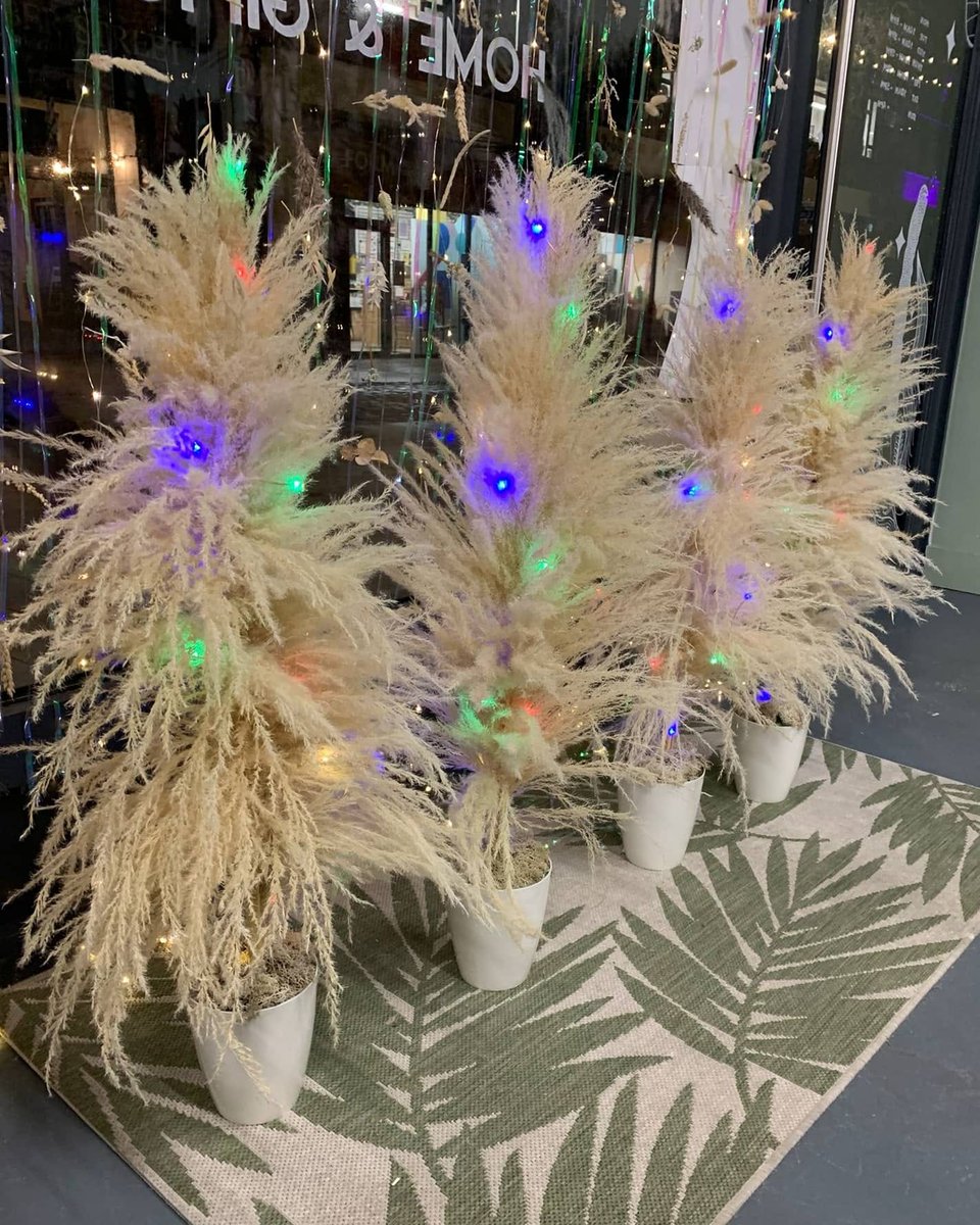 Fruit Market (@fruitmarkethull) on Twitter photo (6/6)
π Ophelia Flowers and Tea: Festive bunches ready to go, with pampas Christmas trees and baubles
π <a href="/TheStoreOn/">The Store On Pier Street</a>: Mulled wine and free mince pies for customers as you shop for great gifts!
#HoHoHoHumberStreet
#fruitmarkethull #humberstreet #hull (6/6)
π Ophelia Flowers and Tea: Festive bunches ready to go, with pampas Christmas trees and baubles
π <a href="/TheStoreOn/">The Store On Pier Street</a>: Mulled wine and free mince pies for customers as you shop for great gifts!
#HoHoHoHumberStreet
#fruitmarkethull #humberstreet #hull