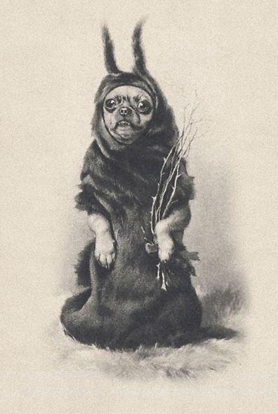 HorribleSanity's tweet photo. It's the first #FolkloreThursday of the Christmas season!

BRING ON THE KRAMPUS CHIHUAHUAS! https://t.co/cCyZaZEWiE