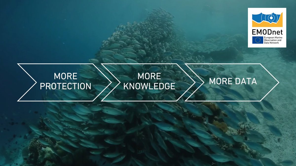 We are delighted to release 'EMODnet for Civil Society'!
  
How can civil society organisations use EMODnet to support their work, empowering citizens to make ocean-wise decisions? 

Watch the movie now:
📽️emodnet.ec.europa.eu/en/video-emodn…