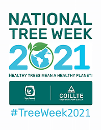 AvrionSoftware's tweet photo. At Avrion we are proud to partner with @Ecologi_hq. If you join up too using the link to us, you will plant your own trees and we will get extra trees in our forest! What a great week to do this!
https://t.co/PeupgP0fKc
#NationTreeWeek #carbonoffset #planetearth #healthyplanet https://t.co/Kd4F2bYh6b