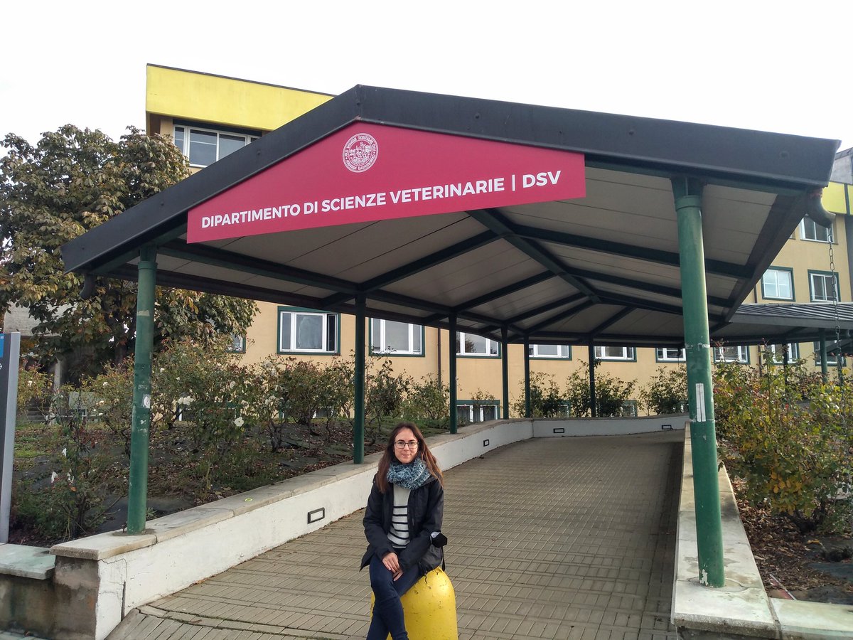 Nuestras compañeras <a href="/DeboraDJM/">Débora JM</a>  y #SabrinaCastro nos envían estas fotos mientras se encuentran de estancias en la <a href="/DSVunito/">Department of Veterinary Sciences DSV - UNITO</a> de Italia y en el <a href="/Loeffler_News/">Friedrich-Loeffler-Institut</a> de Alemania. Buena estancia! 👩🏻‍🔬