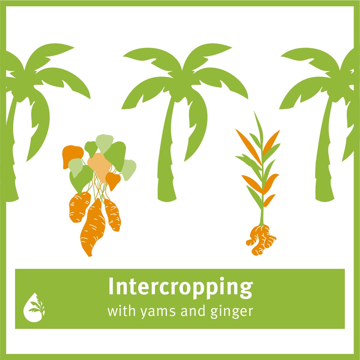 Forum Nachhaltiges Palmöl tweet media