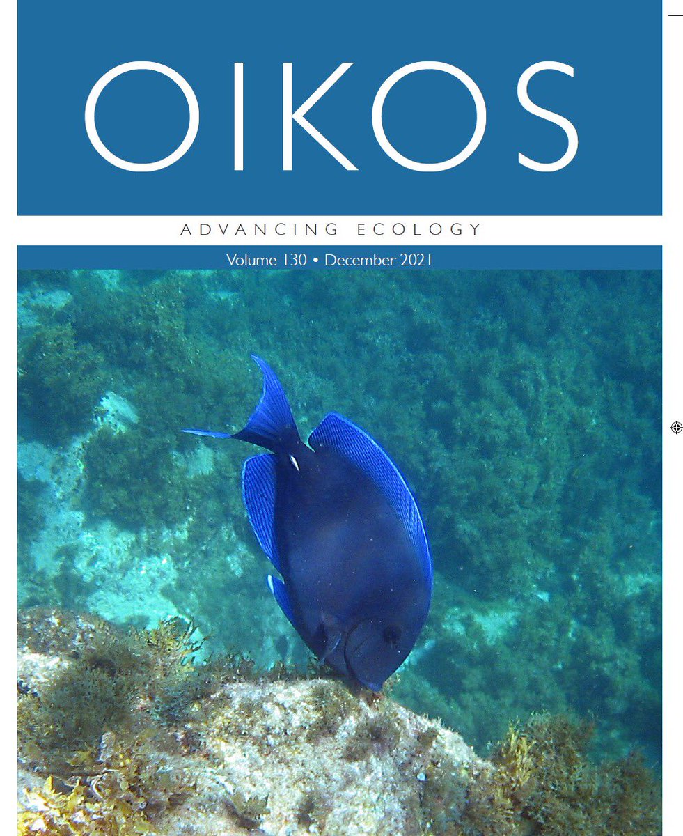 Happy to contribute to the cover of OIKOS relative to the excellent paper led by Leonardo Capitani: Resource-to-consumer ratio determines the functional response of an herbivorous fish in a field experiment