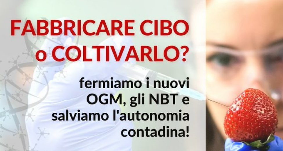 Società della Cura (@dellacura) on Twitter photo 