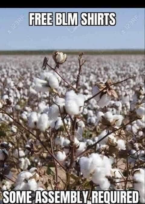 Meme Lord tweet media