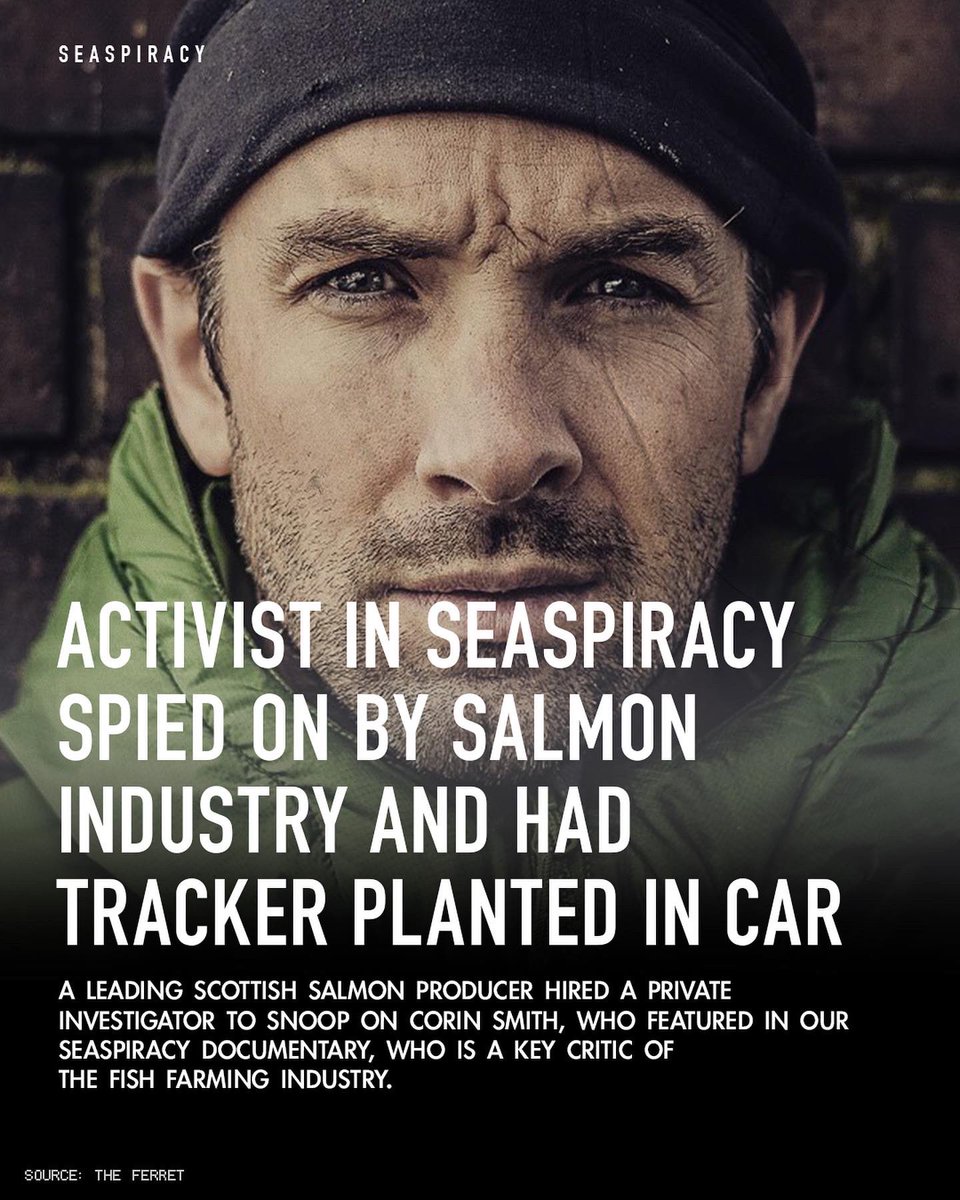 seaspiracy tweet media