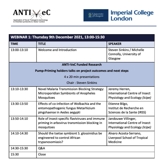 The Gnatwork tweet media