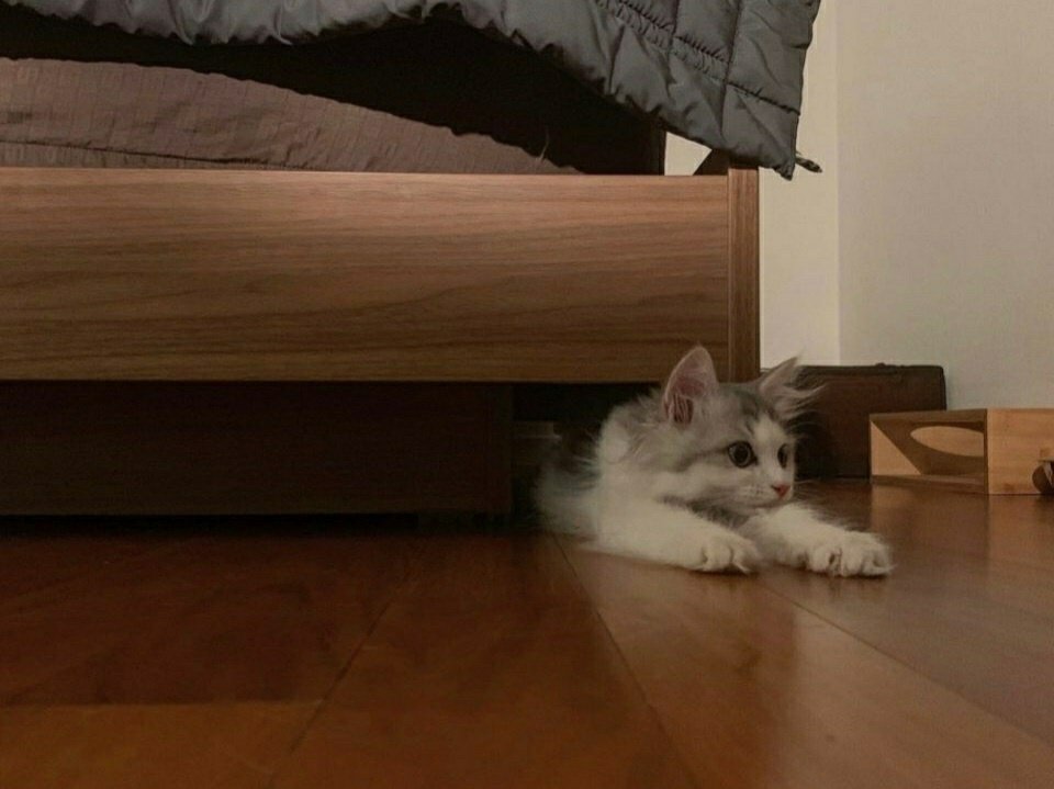 uwoonjae's tweet photo. @__Sogumm Tabul miss you. https://t.co/mw4ZJ4OTcf