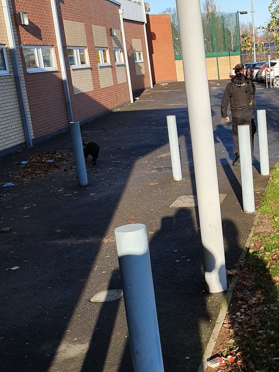 BordesleyWMP's tweet photo. PD Alfie and PC Marsh of @WMPDogs at a local hospital helping BG keep our communities safe in the prevention and detection of crime,today its drugs.PCs Cooper and Scott have a few lines of investigation to proceed. Lets play spot the dog. #hospitalwatch #oneteamworkingtogether https://t.co/DE0LeNANk9