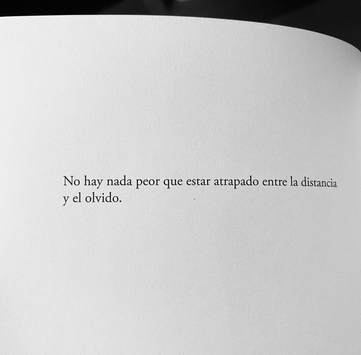 Cementedelibros's tweet photo. “No hay nada peor que estar atrapado entre la distancia y el olvido.”
Autor: @elvirasastre 
Libro: Aquella orilla nuestra 
#cementeriodelibros https://t.co/DXK2qFnwbe