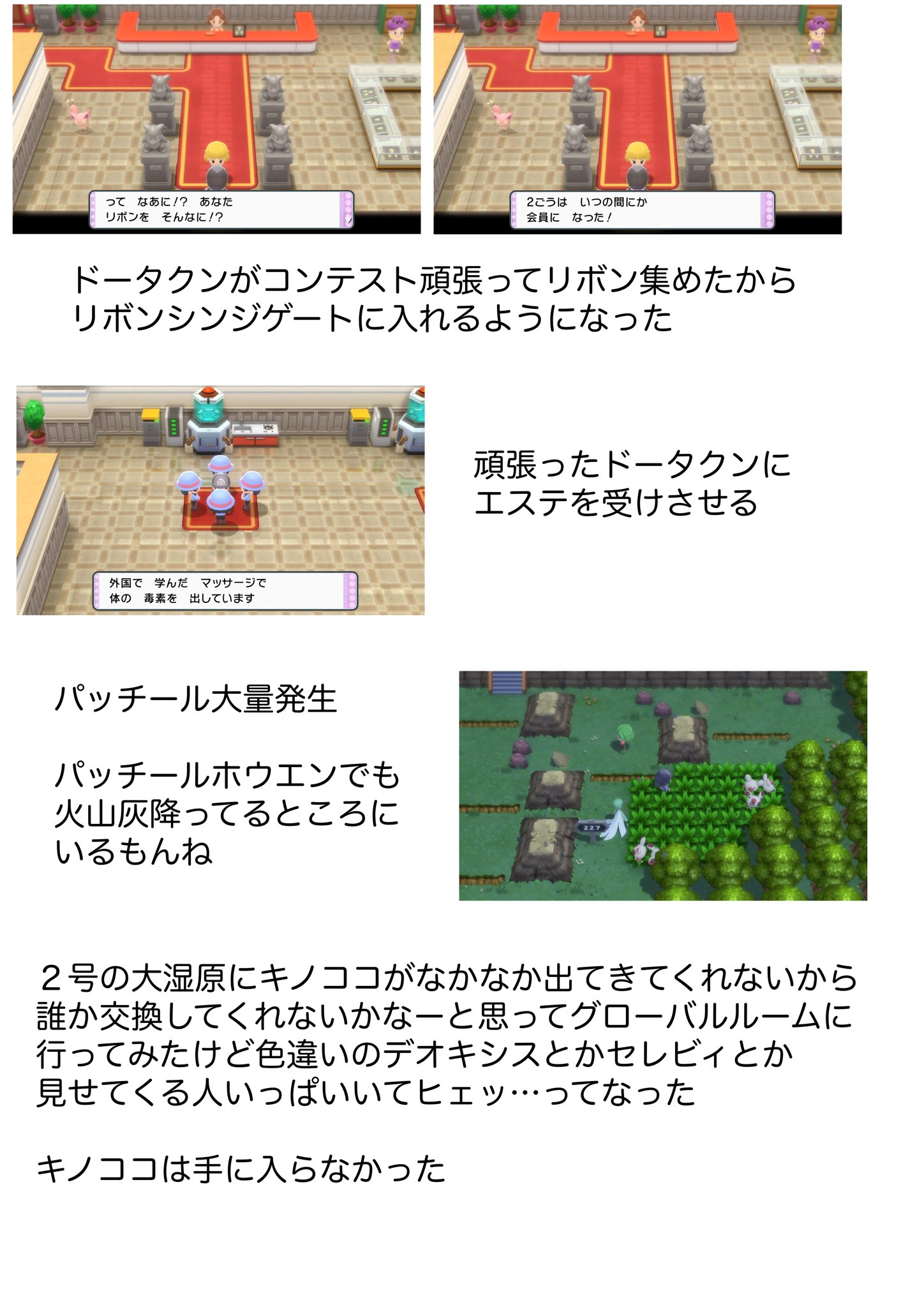 2号 ポケモンsv ２号のポケモンレポート１６ T Co Qcr1tjkdnm Twitter