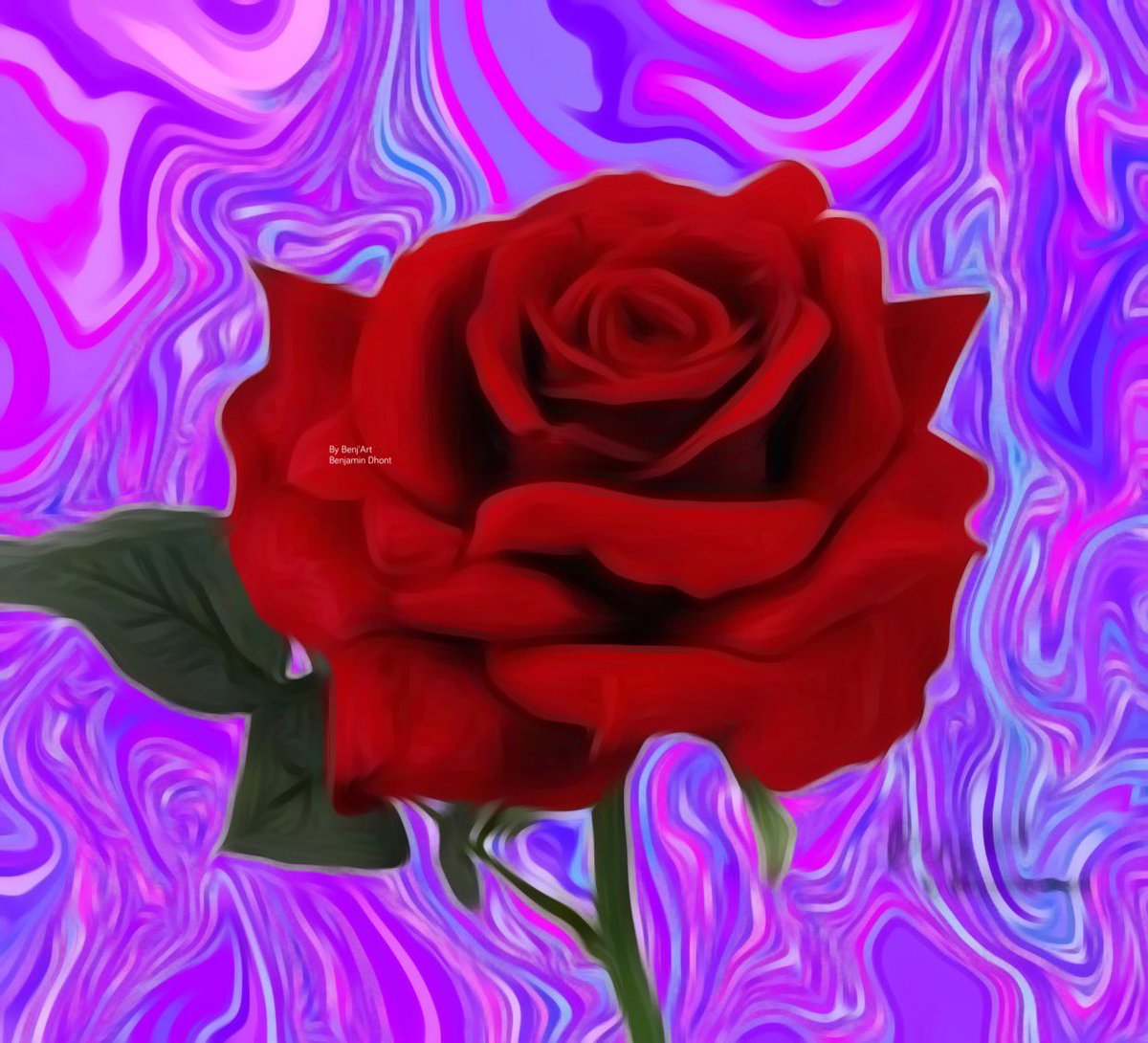 benjamin_dhont's tweet photo. Roses for lovers 🥰#bendhont #instagram #artoninstagram #digitalart #digitalarttiest #artistic_unity #artisticbros #artisticglobe #artistic #kunst #artisticdrawing #digitaldrawing #digitaldrawings #Arts #artsy #design #artists #love #sketchbook #creative https://t.co/X2KBpog2wl