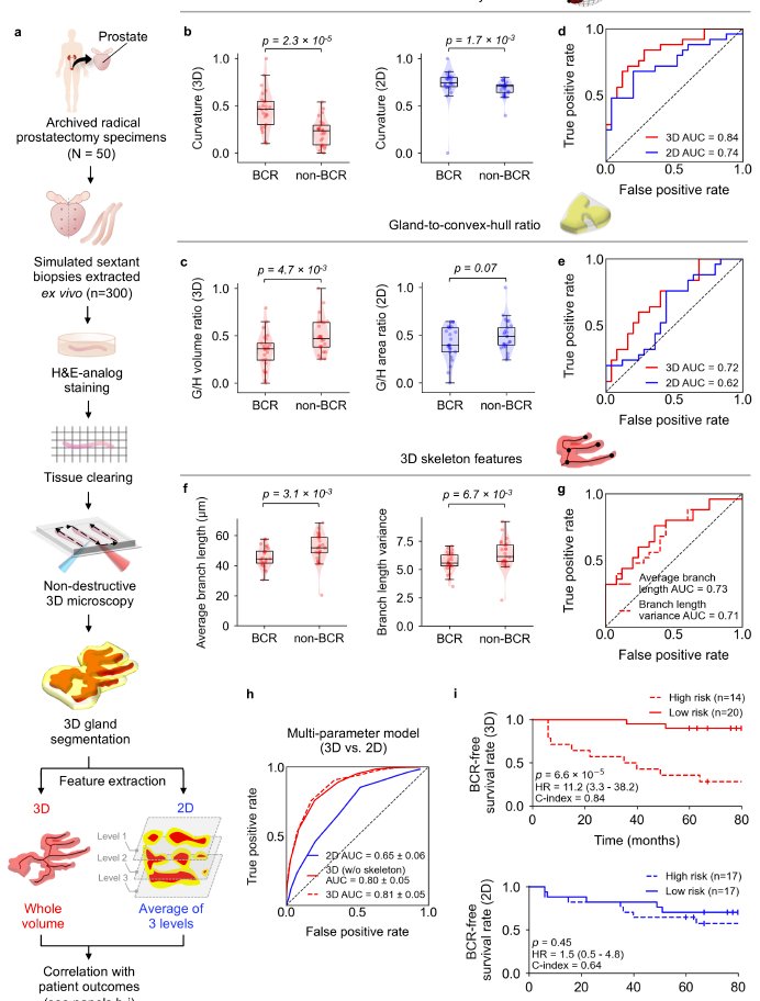 Anant Madabhushi tweet media