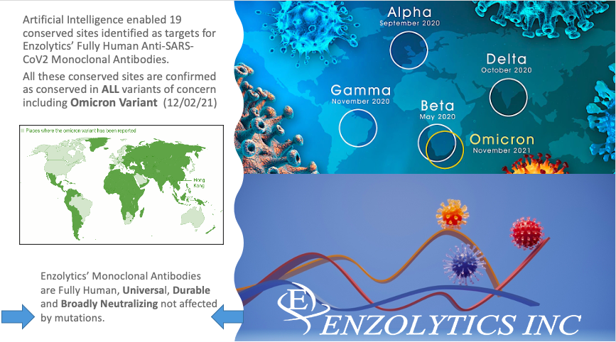 drgauravchandra's tweet photo. 2. #ENZC #AI analysis of isolates of the #Omicron Variant confirmed that the conserved epitopes are also FULLY conserved in the Omicron Variant. Enzolytics’ Monoclonal Antibodies are Fully Human, Universal, Durable and Broadly Neutralizing NOT affected by mutations. #SARS_CoV_2 https://t.co/1BevOR1yHu