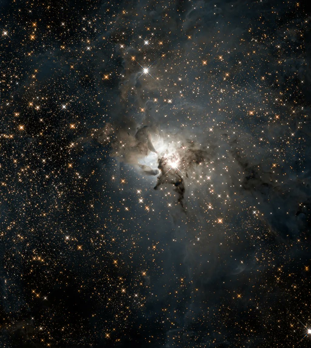 alex_riveiro's tweet photo. Este curioso paisaje es el entorno de la nebulosa de la Laguna, una región de formación de estrellas. La vemos en el espectro infrarrojo. En el centro está Herschel 36, una estrella masiva y joven cuya energía moldea la región. Crédito: NASA/ESA/A. Nachman #FelizJueves https://t.co/LkzXjkepqe