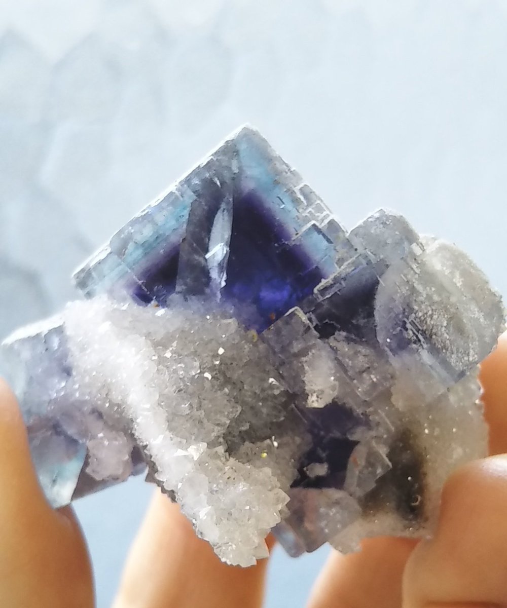 とうりさ 浅草石フリマ6階Q-18土曜のみ tweet media