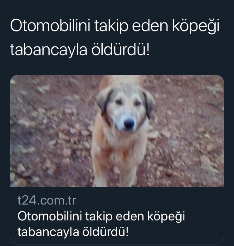 demet ozdemir dmtzdmr twitter