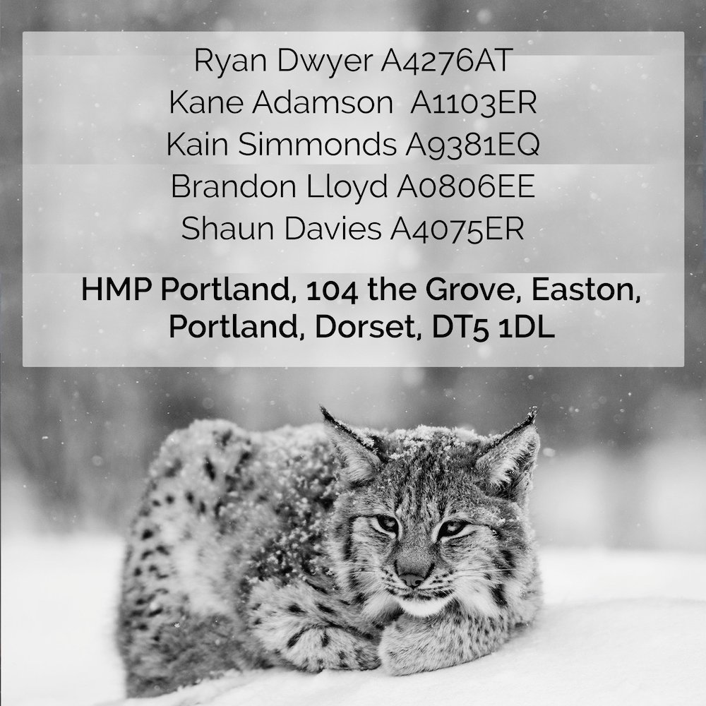 BristolDefenda1's tweet photo. Write to #KillTheBill prisoners this Christmas! ❄🎄✊🔥
You can also use https://t.co/0HJcdAVVBp

Make sure to check @Bristol_ABC for updates! https://t.co/ZutjrOliHs